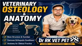 &ldquo;Veterinary Osteology MCQs | Quick Revision for BVSc First Year | Anatomy MCQs&rdquo;