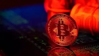 Why Government Interference Disrupted the Cryptocurrency Market | Technological Investments+Finances