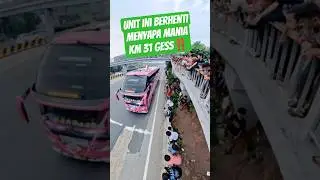 Unit bus artis yang berhenti menyapa mania km31 #hunting #bus #bismania #bismaniacommunity #virall