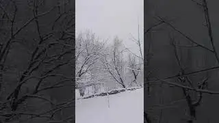 heavy Snow fall in chitral #snowfall #winterseason