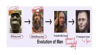 Human evolution __ lec --2( last) || by Dr. Milan Gairhe || for CEE NEB ....