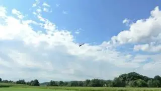 piroflips