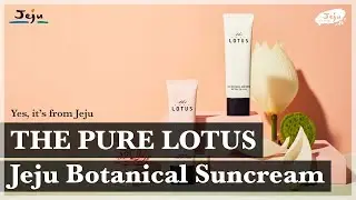 THE PURE LOTUS l Jeju Botanical Suncream