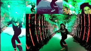 Expo 2022 Weedance Chofa Youtube