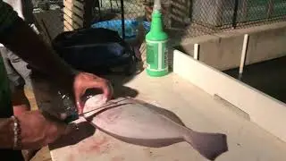 How to clean a Flounder