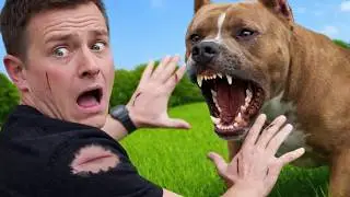 How to Defend Yourself Against a Pitbull Attack