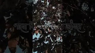 Koto sopno mone mone||#shorts #trending #viralshorts
