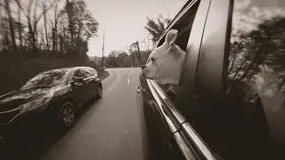 Catch a breath