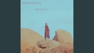 Greyhound