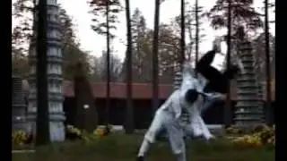 China Kungfu - Wudang Qing Gong - Master Chen Shixing