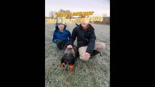 Happy new year #christmas #song #music #jvke #cats #dogs #christianity