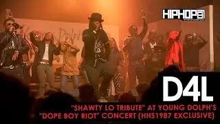 D4L 