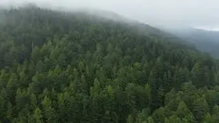 No Copyright Drone Shots/Royalty free Drone/Free stock Videos /cloudy day in mountain in summer
