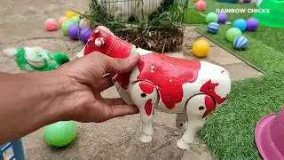 PLAYING WITH RAINBOW CHICKS AND BUNNY COLORFUL BALLS || CATCH THE FUNNY RAINBOW CHICKS