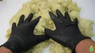Hemp Bast -  Fiber Type #2
