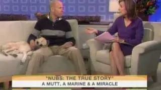Nubs: The True Story of a Mutt, a Marine & a Miracle on TODAY