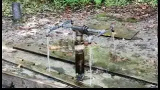 Healing Springs, Blackville SC