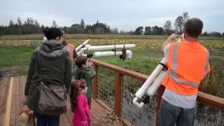 Corn Cannon