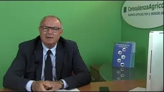 I redditi da allevamento: le opzioni in sede di dichiarazione