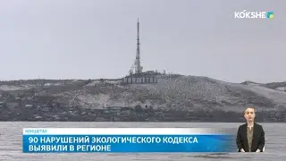 90 violations of the environmental code were identified in the region.