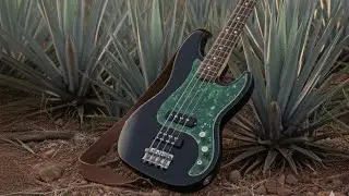 Carlo Murgia - Thumb & Slap Bass Training! 