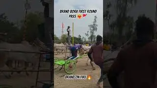 brand Bora first round pass ❤️&zwj;🔥🚩 brand on fire 🔥🥵#varlivideo #viral #abhi #borappa
