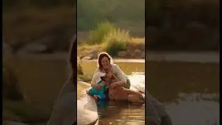 This dog save the Life of the baby 👶