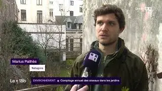 Le journal de 18h du 31 janvier 2026
