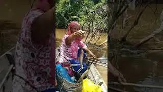 mancing Lais Bamban jumbo