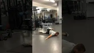 Scorpion Stretch