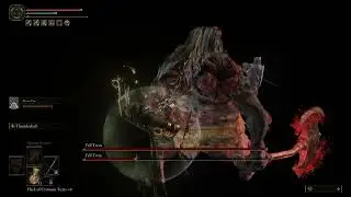 FELL TWIN BOSS FIGHT [ELDEN RING 60FPS]