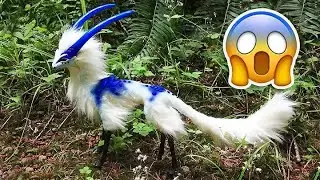 10 Rare and Bizarre Animals You Never Knew Existed! 🌍🦄