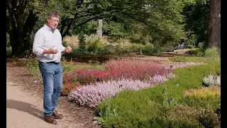 Heathers at RHS Wisley