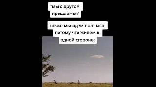 #мемы #смех