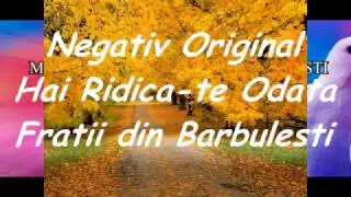 Negativ-Hai Ridica-te Odata cu voci original