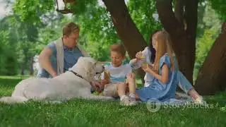 Unleash Happiness: Premium Dog Food Revolution