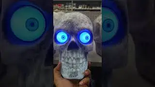 Halloween Skull Ottawa #skull #halloween2022 #halloweenskull