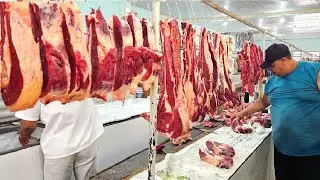 &Uacute;LTIMA FEIRA DE 2025 EM CACHOEIRINHA-PE