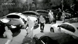 Brazen theft of multiple cars in Florida caught on camera
