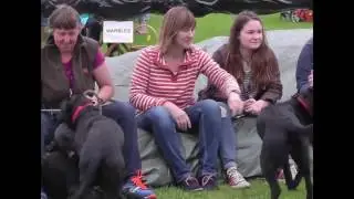 Sydling Village Fete 2016