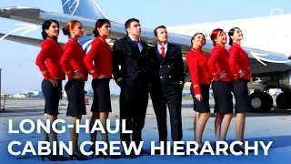 The Hierarchy Of A Long-Haul Cabin Crew Team