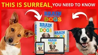 BRAIN TRAINING FOR DOGS REVIEW Discover the power of brain training for dogs