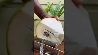 Can you drink all water 😱😱😱brown coconut