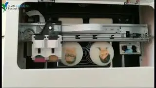coffee printer and edible ink from China