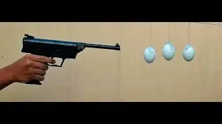 EXPERIMENT GUN vs EGG