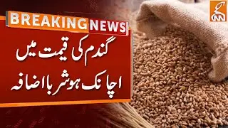 Breaking News | High Increase In Wheat Prices | GNN