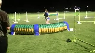 Dogz Cairns Trial - Jumpers 200mm