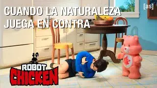 Cuando la naturaleza juega en contra | Pollo Robot | Adult Swim LA