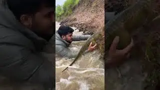 River Flood Dinosaur Rescue :- AI Created