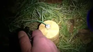 100 Gramm Whistle B&ouml;ller